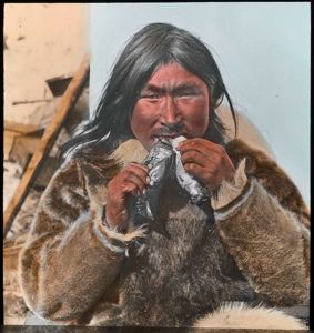 Image of Eskimo [Inuk] Eating Dovekies